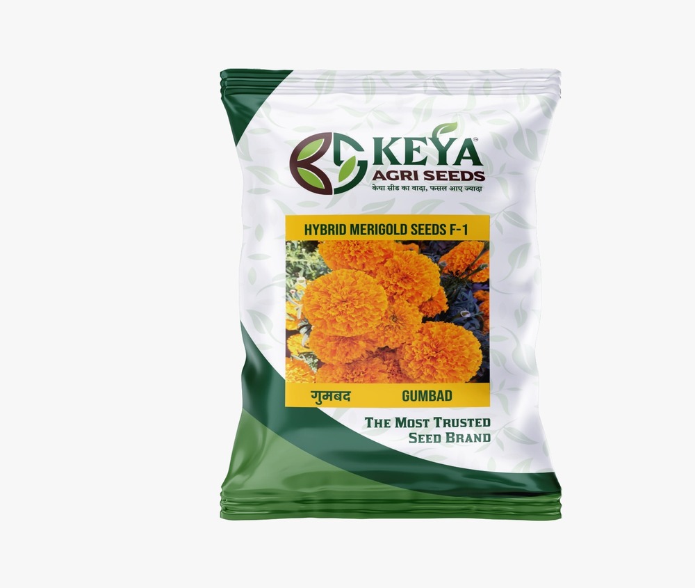 Gumbad Hybrid Merigold Seeds - Cultivation Type: Common