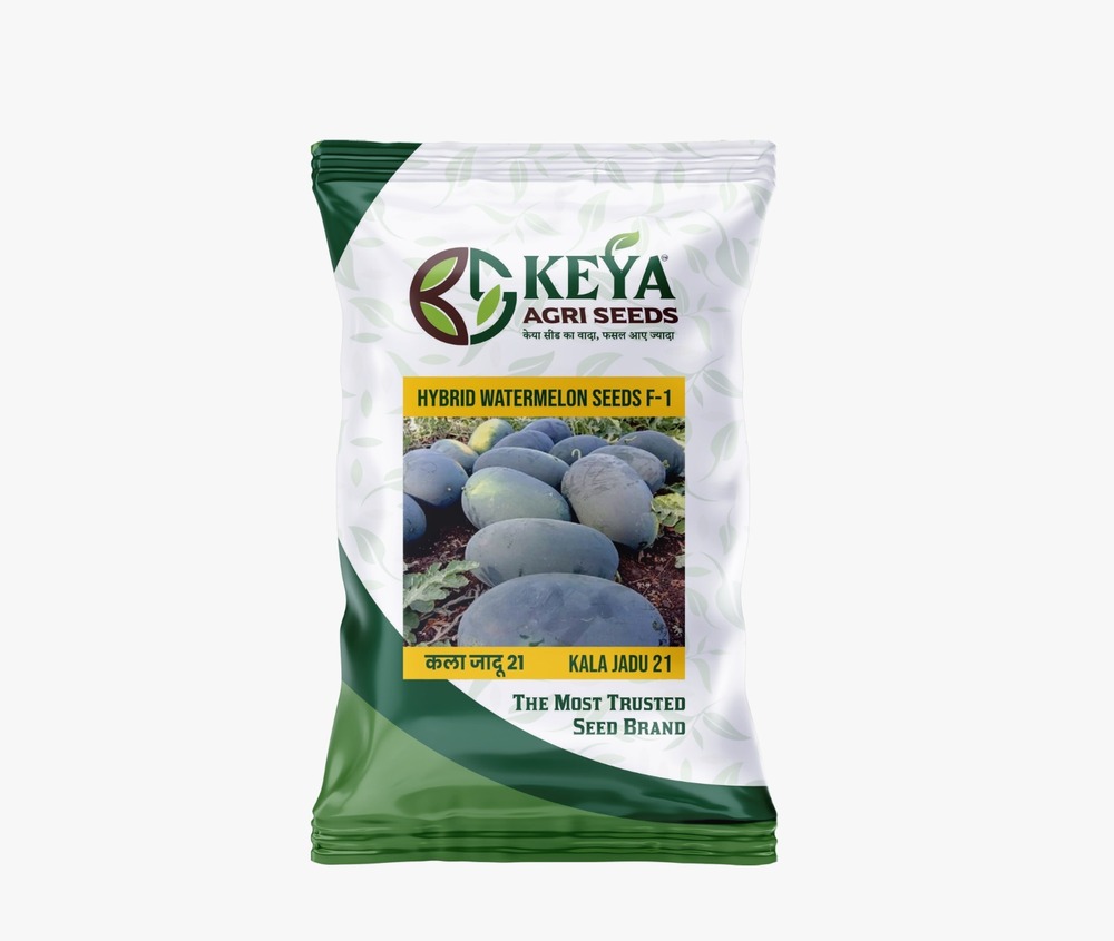 21 Hybrid Watermelon Seeds - Cultivation Type: Common