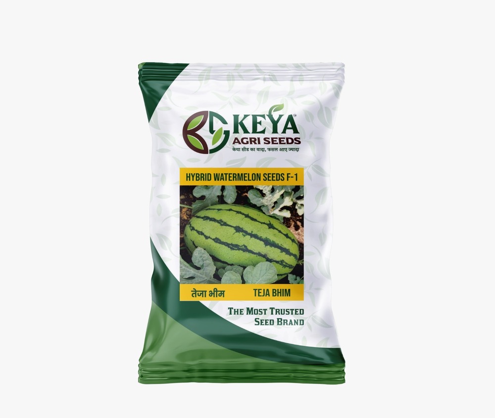 Teja Bhim Hybrid Watermelon Seeds - Cultivation Type: Common