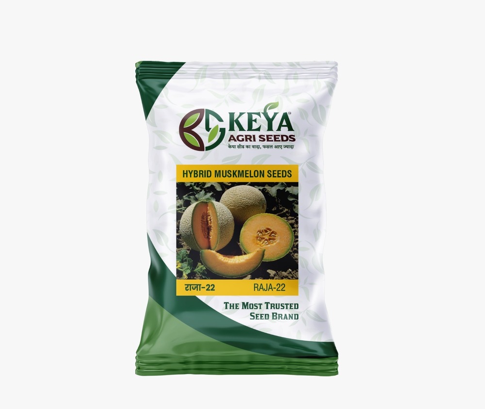 Raja-22 Hybrid Muskmelon Seeds - Cultivation Type: Common