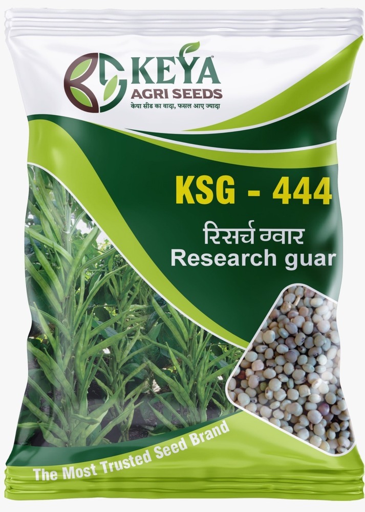 Ksg-444 Research Guar Seeds - Cultivation Type: Common