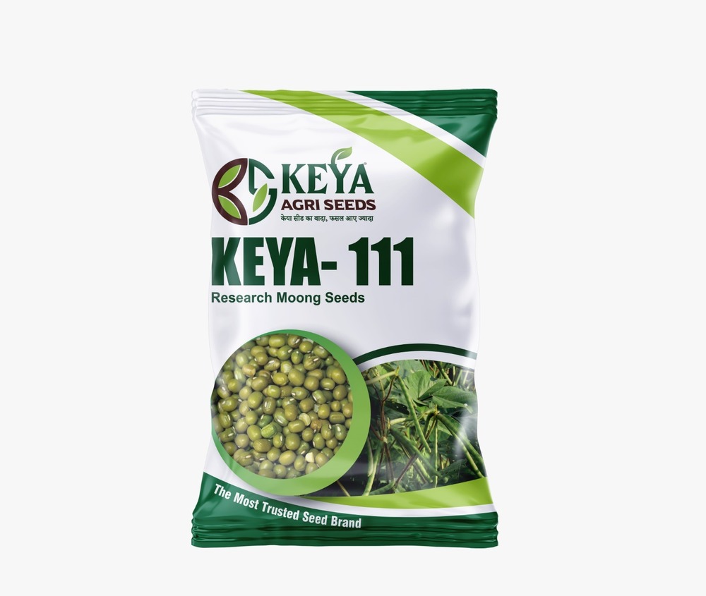 Keya-111 Moong Seeds - Cultivation Type: Common