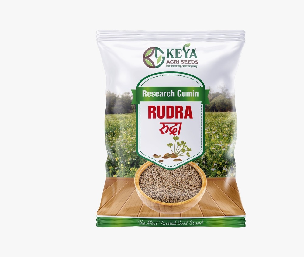 Rudra Research Cumin Seeds - Cultivation Type: Common