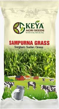 Sampurna Sorghum Sudan Grass Seeds
