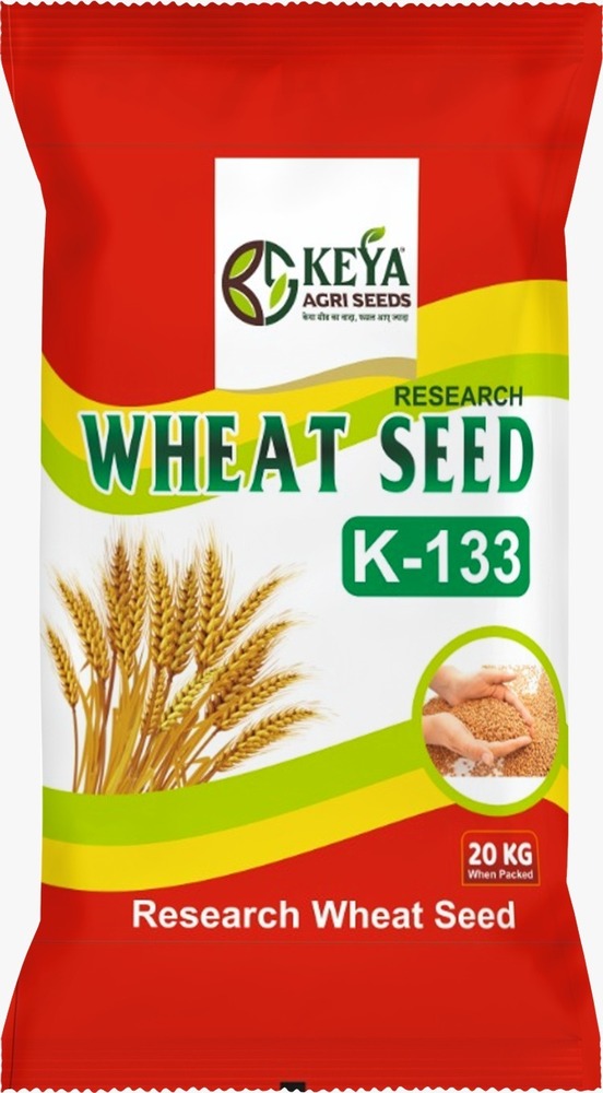 K-133 Wheat Seeds - Cultivation Type: Common