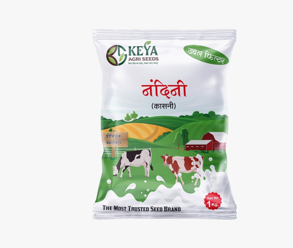 1kg Nandini Kasni Seeds