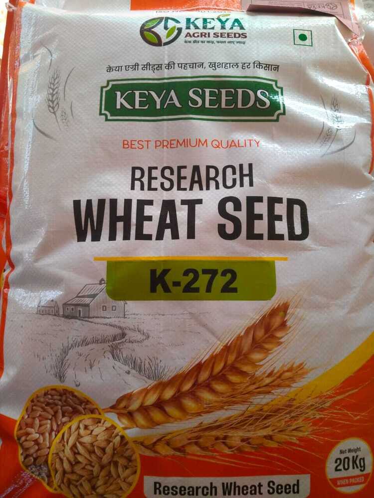 K-272 Research Wheat Seeds - Cultivation Type: Common