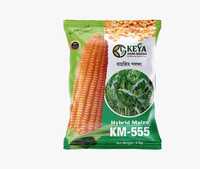 KM-555 Hybrid Maize Seeds