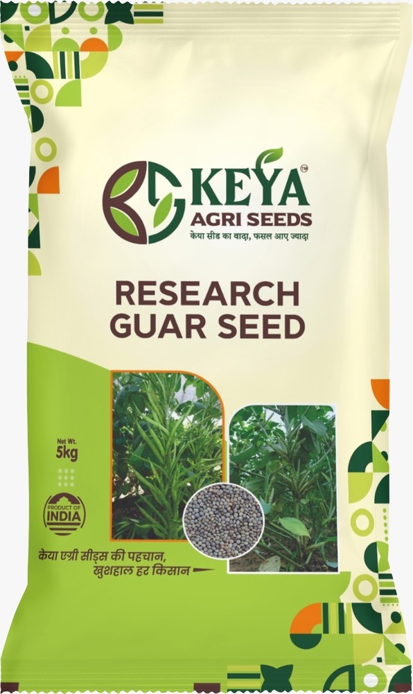 5Kg Research Guar Seeds - Cultivation Type: Common