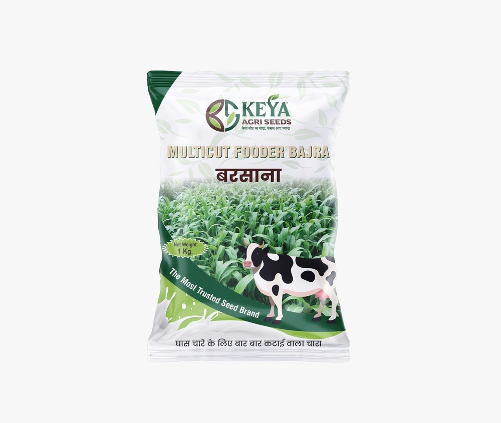 Barsana Multicut Fooder Bajra Seeds
