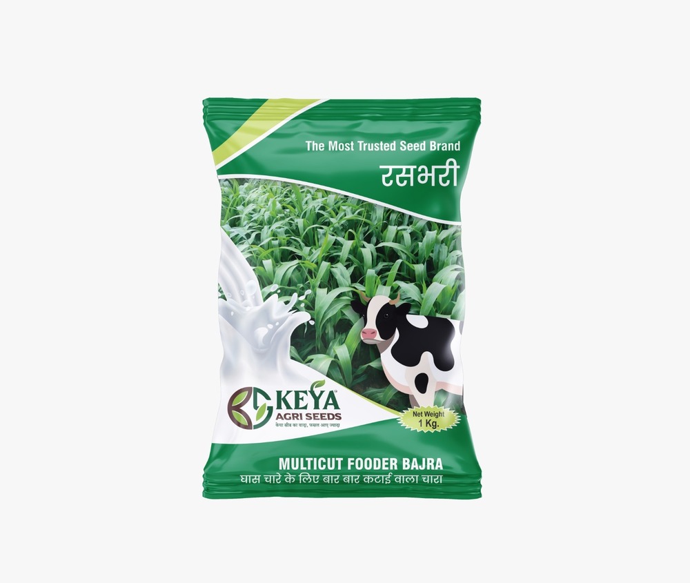 1Kg Rasbhari Multicut Fooder Bajra Seeds - Cultivation Type: Common