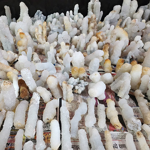 Finger Quartz Clusters