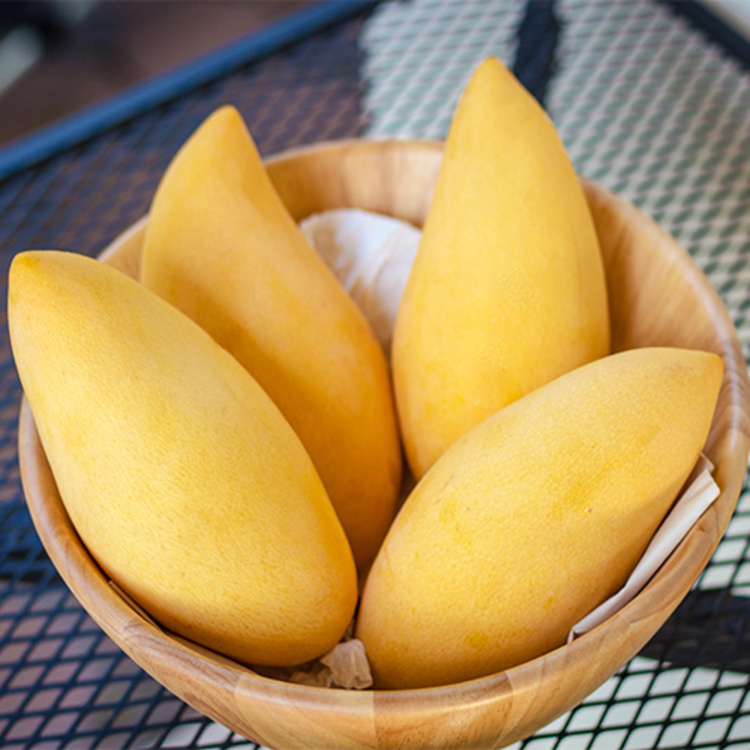 Fresh Mango