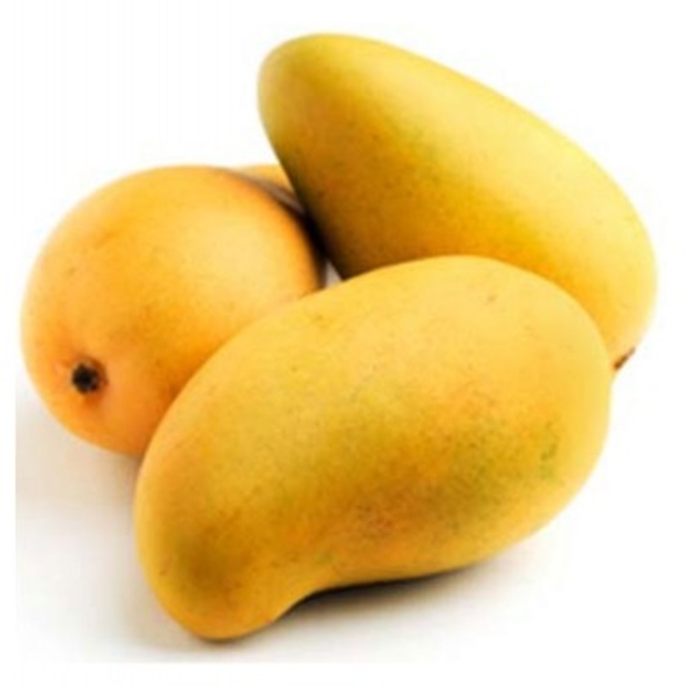 Fresh Mango - Cultivation Type: Organic
