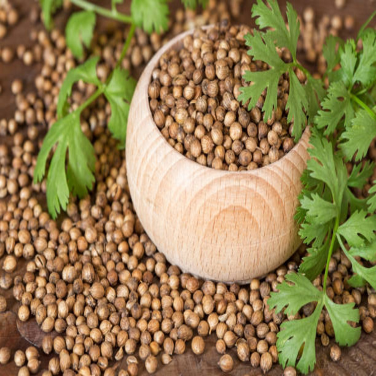 Natural Coriander Powder