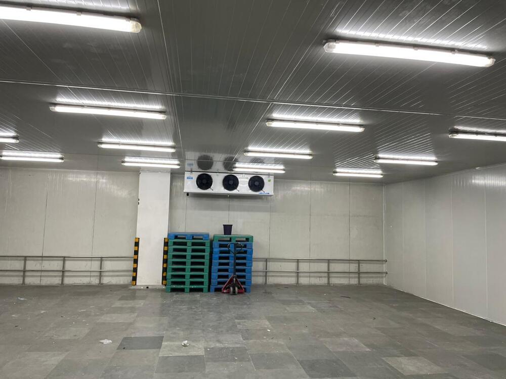 Fully Automatic Cold Storage Chamber - Color: White