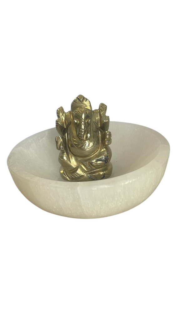 Money Bowl - Color: White