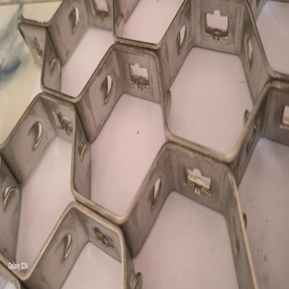 SS Hex Mesh