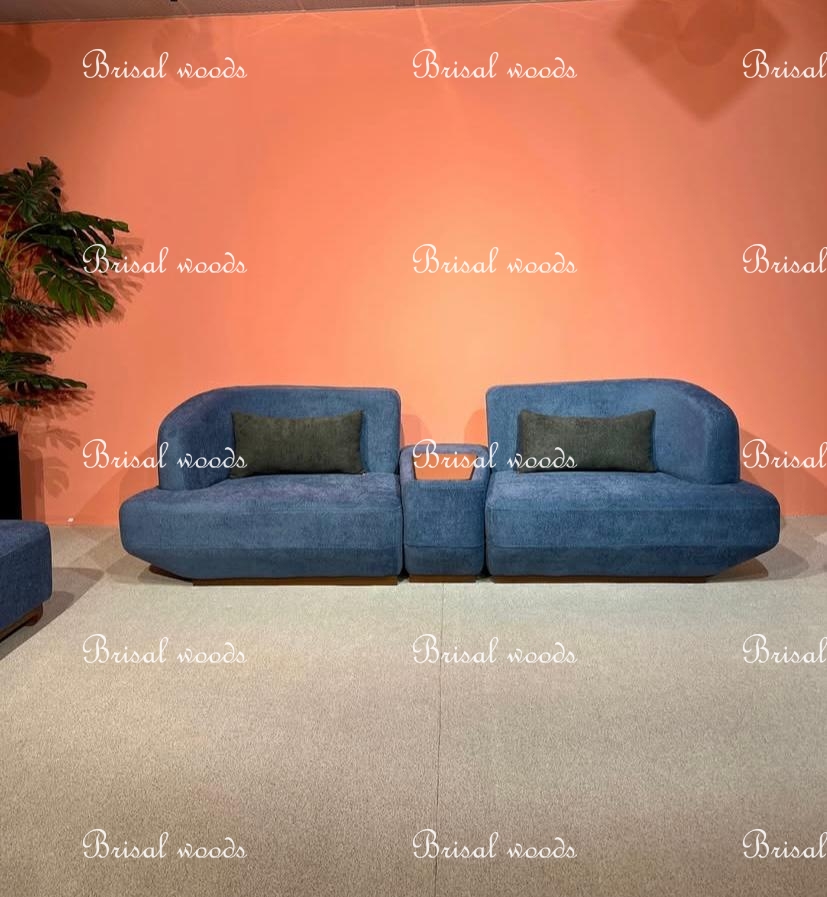 Wooden modern sofa set