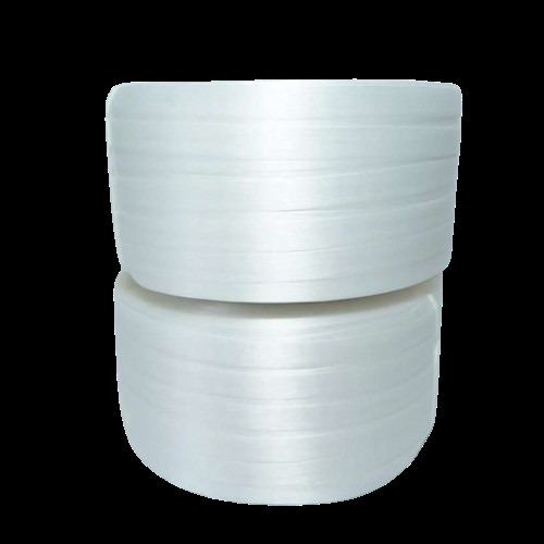 Polyester Composite Cord Strap