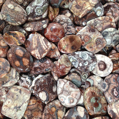 Birds Eye Jasper Cabochons