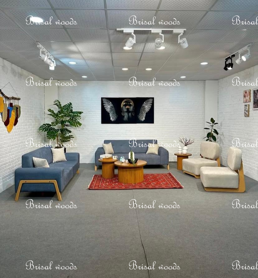 Luxury modern sofa set