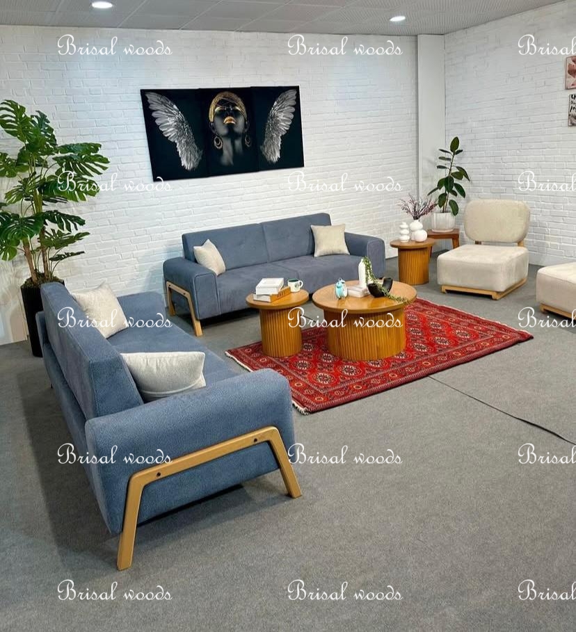 Luxury modern sofa set