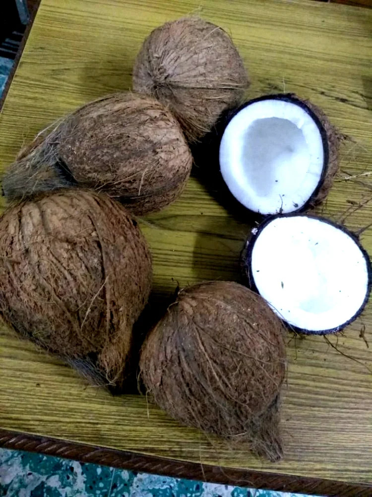 Fresh Coconuts