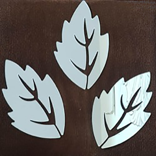 Services With Mirror