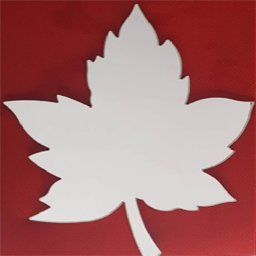 Services With Mirror