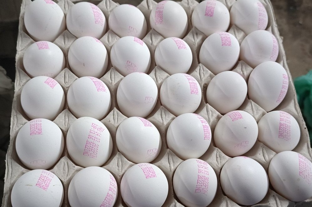 Fresh Egg - Additives: No Additives