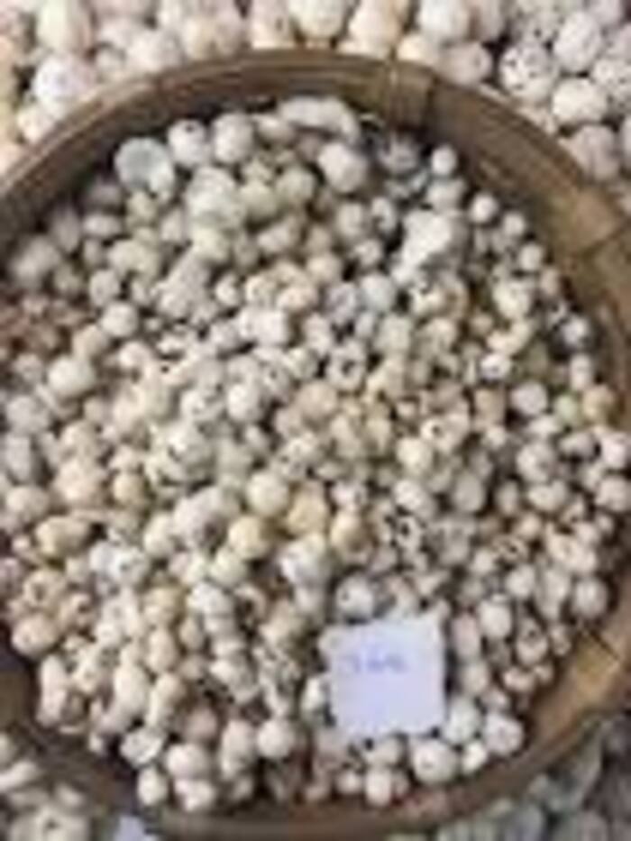 3 Sutta Makhana - Color: White