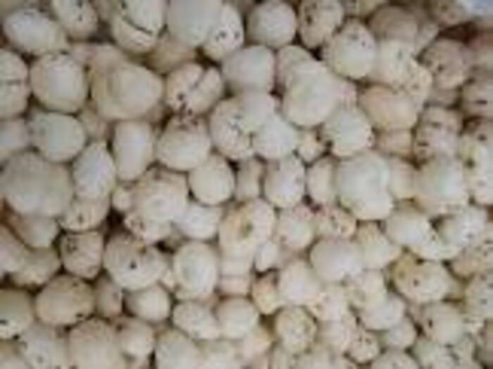 4 Sutta Makhana - Color: White