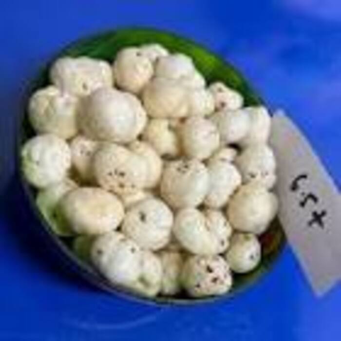 6.5 Sutta Makhana - Color: White