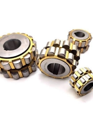 Eccentric Bearing - Color: Silver