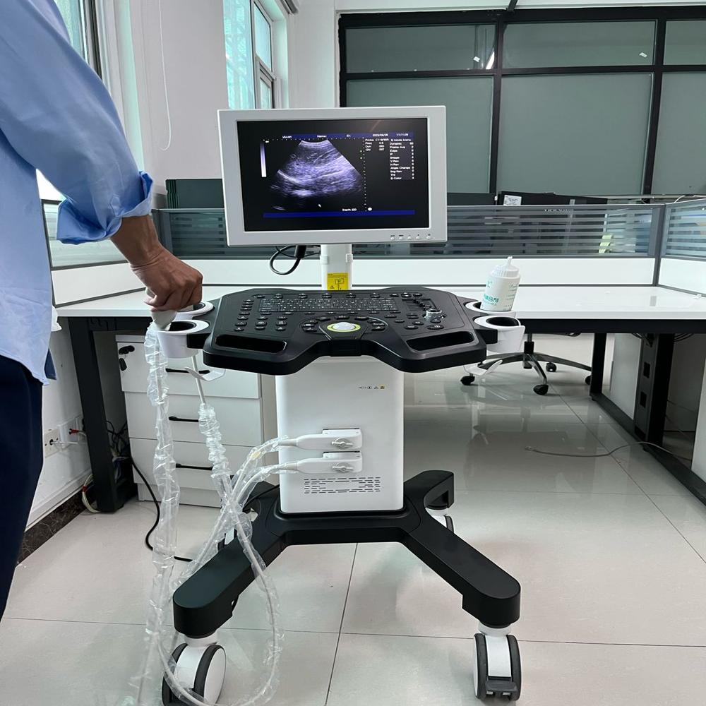 Ultrasound DW-350 (Version 1.1)