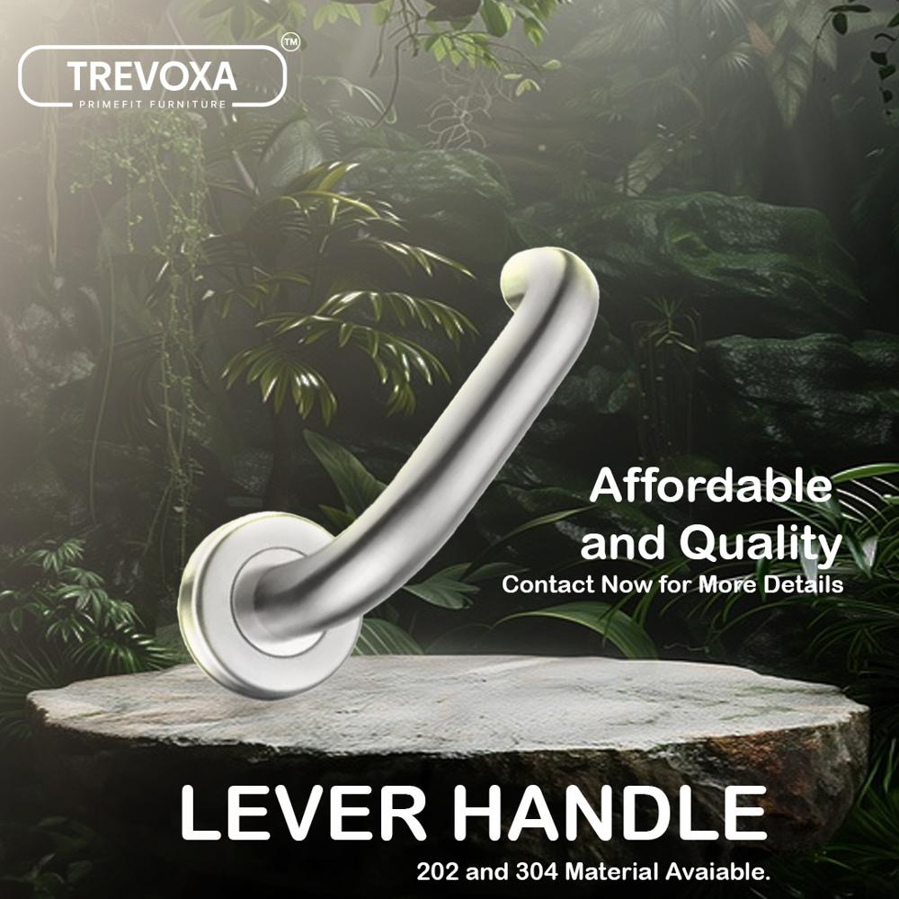 Lever Glass Goor Handle