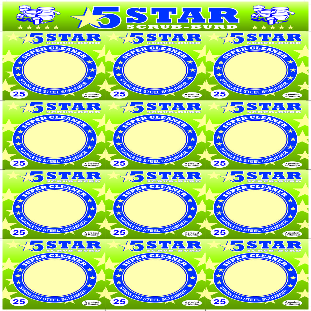 Stainless Steel Scrubber Blister Card