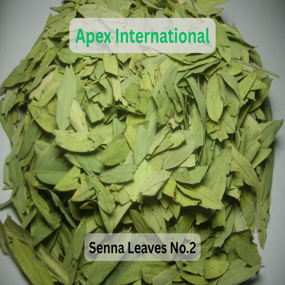 Senna Leaves No. 2
