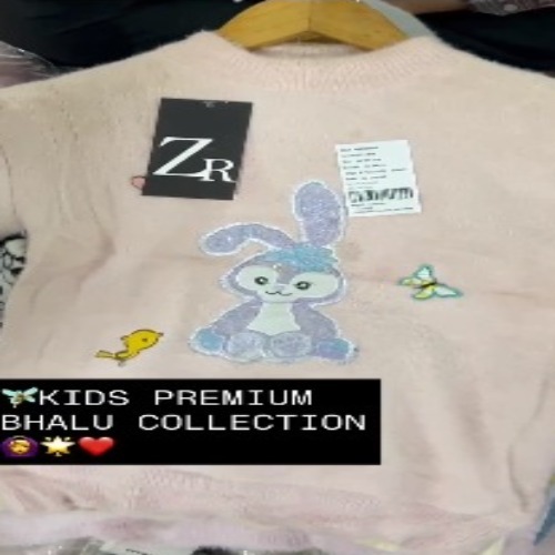 Export Surplus Kids  Premium Balu Sweaters