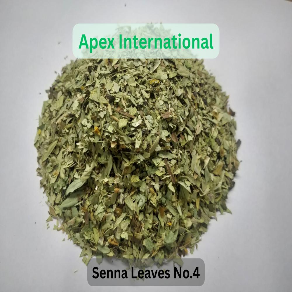 Senna Leaves No. 4