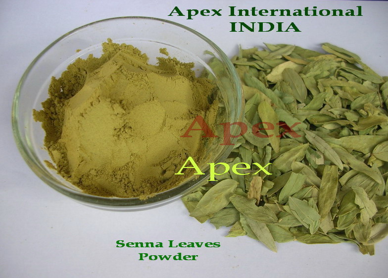 Senna Leaves Powder
