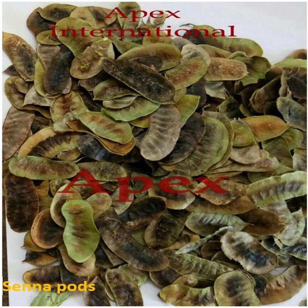 Senna Pods - Shelf Life: 24 Months