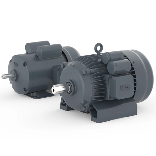 Lubi Motor MMS Series