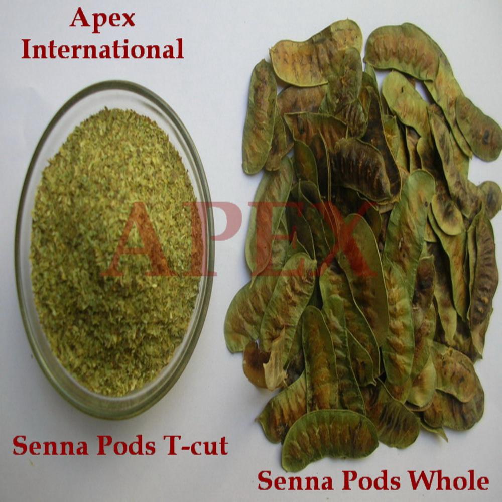 Senna Pods T Cut (tbc) - Color: Green