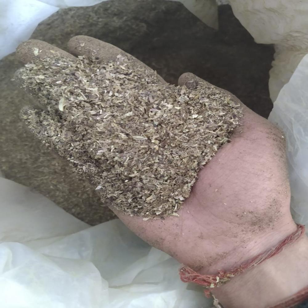 Senna Pods T Cut (TBC)