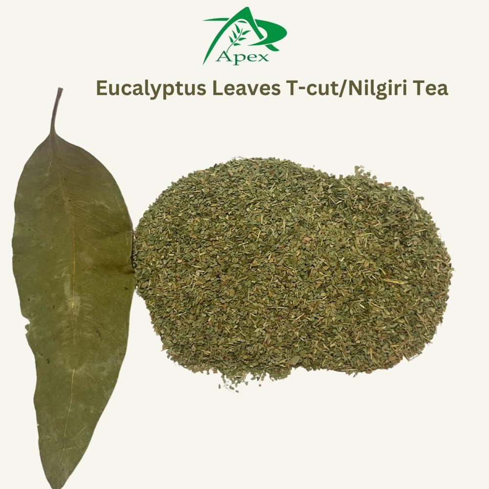 Eucalyptus Leaves T Cut - Shelf Life: 24 Months