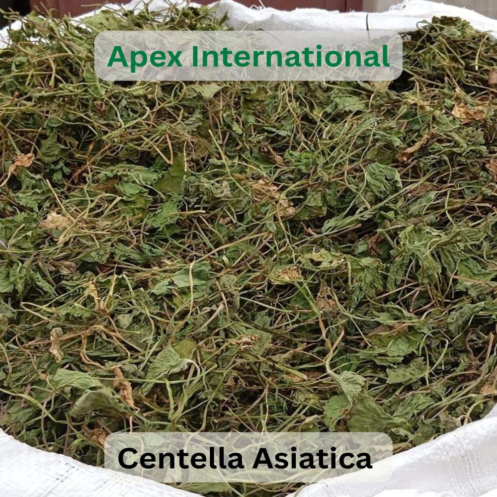 Centella Asiatica Leaves - Shelf Life: 24 Months