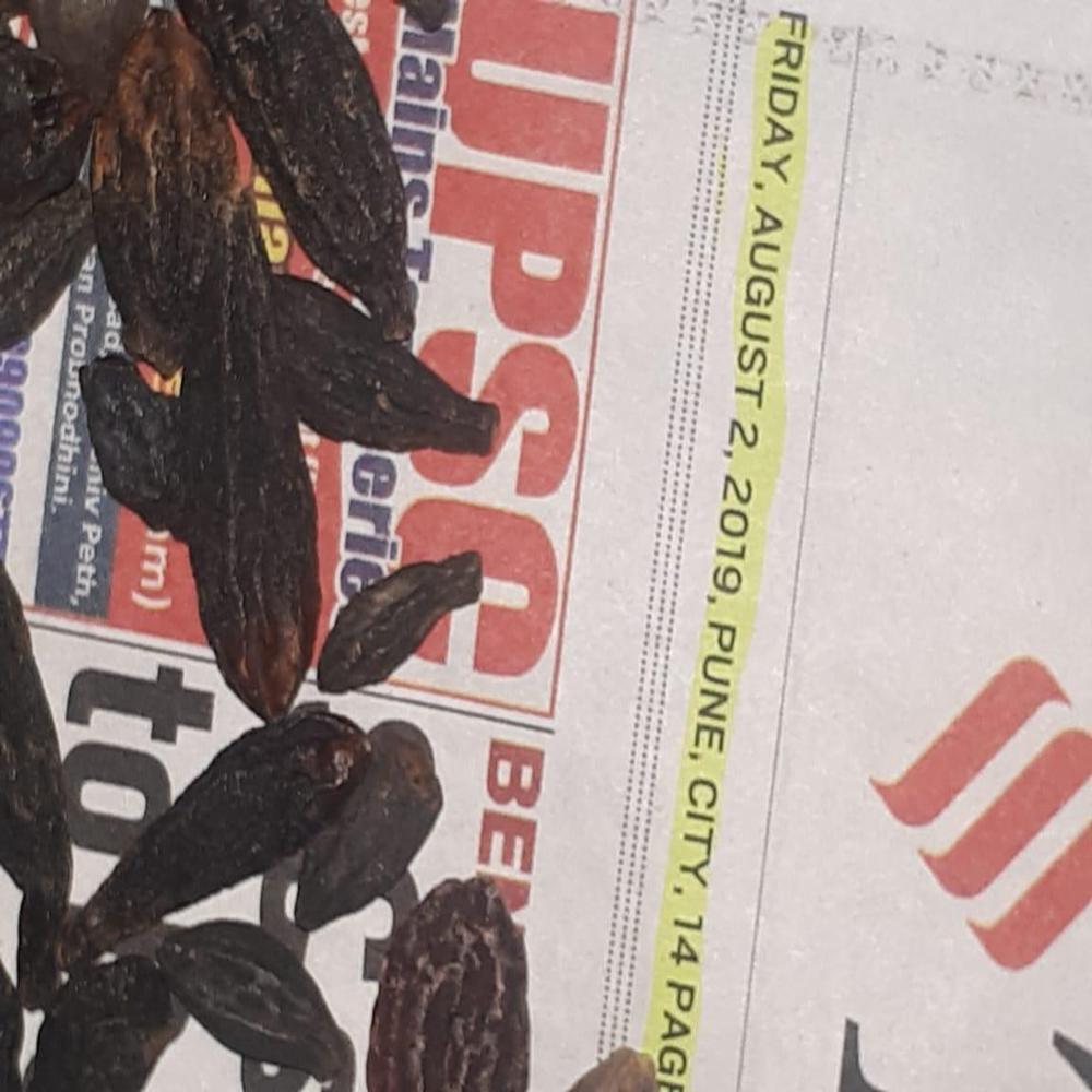 Terminalia Chebula Black Himej