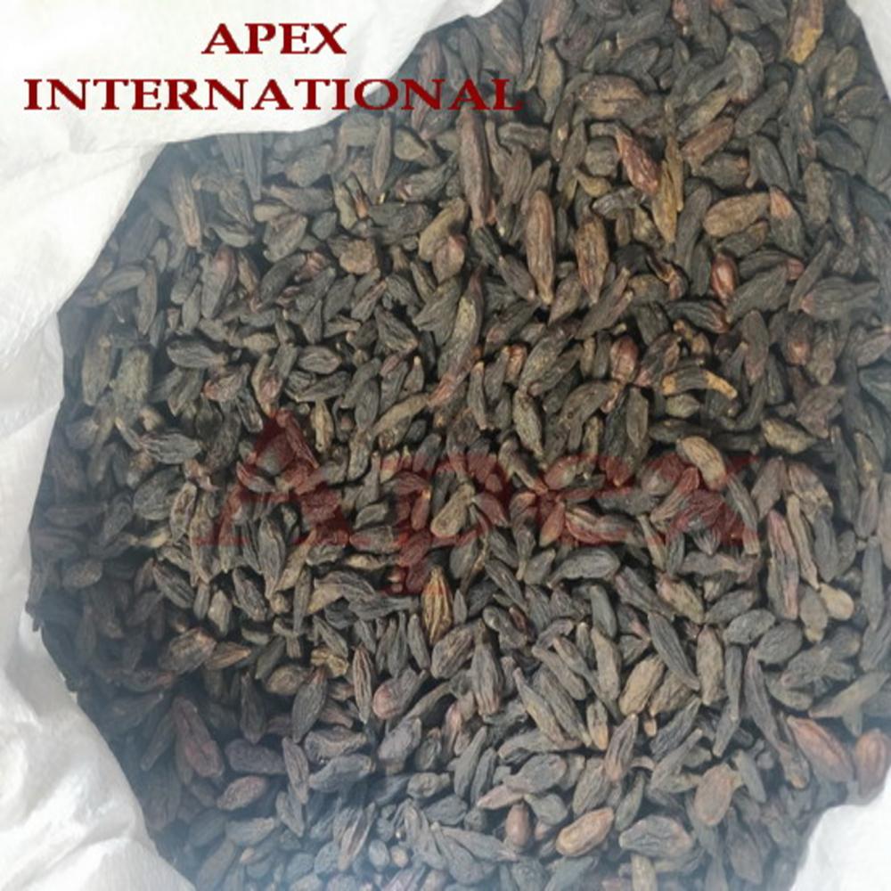 Terminalia Chebula Black Himej